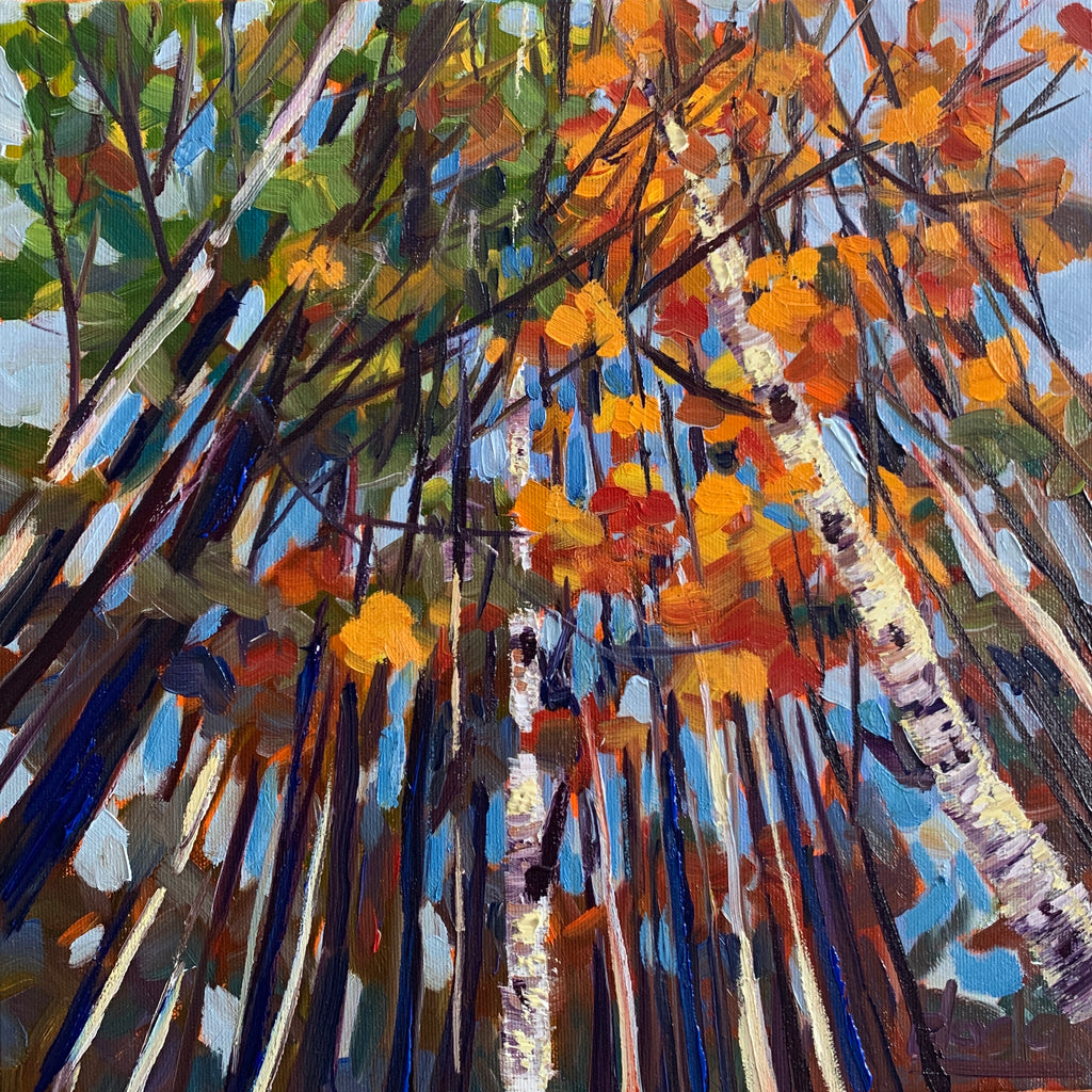 an oil painting of birch trees in the fall from a looking up perspective. Colors are red, orange and blue