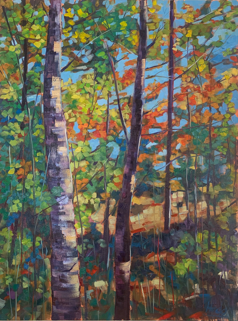An oil painting of the Canadian landscape in the fall. A large birch tree is at the forefront of the painting, with orange, green, purple and blue colors